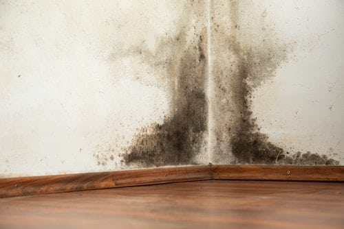 Michigan Landlord Tenant Attorney